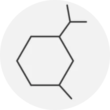 Circle image of Amino Acid